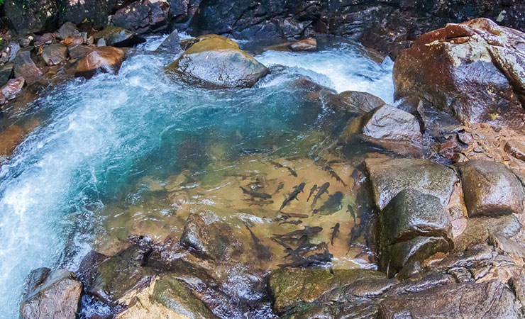 น้ำตกพลิ้ว จันทบุรี